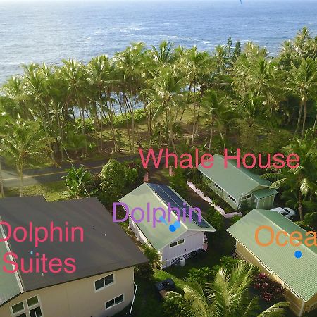 Whale House At Kehena Beach Pahoa Exteriör bild