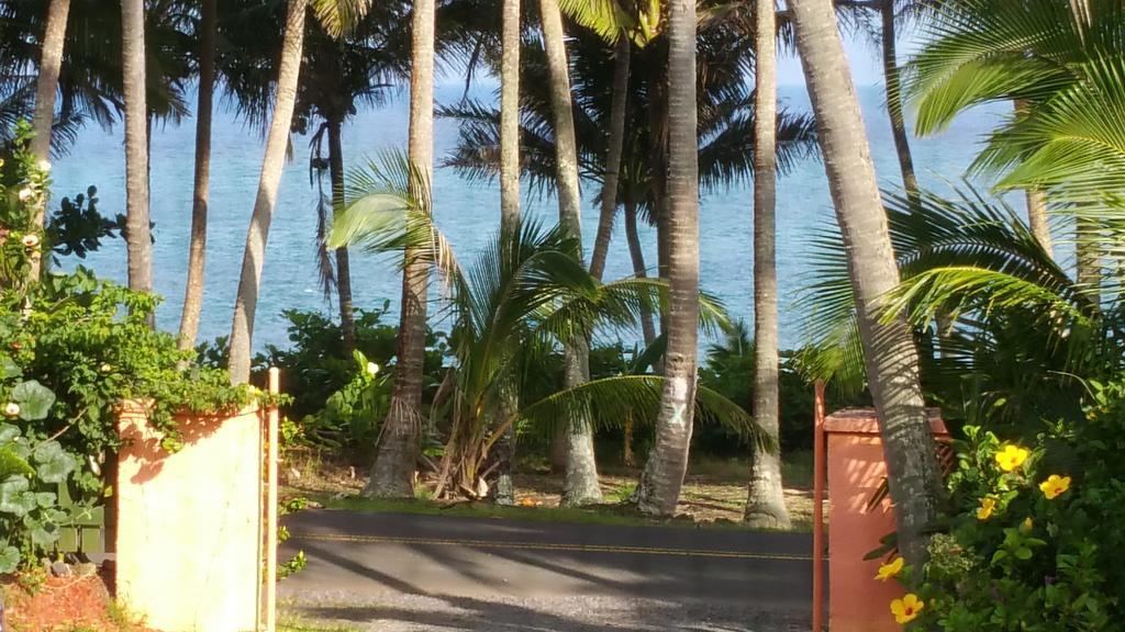 Whale House At Kehena Beach Pahoa Rum bild