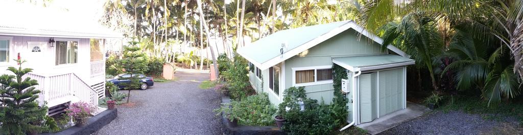 Whale House At Kehena Beach Pahoa Rum bild