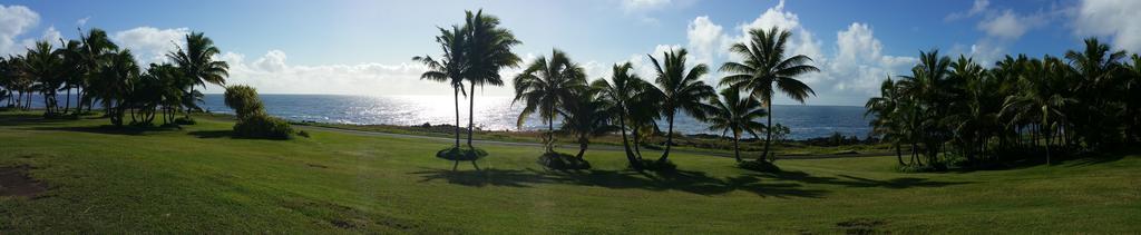 Whale House At Kehena Beach Pahoa Rum bild