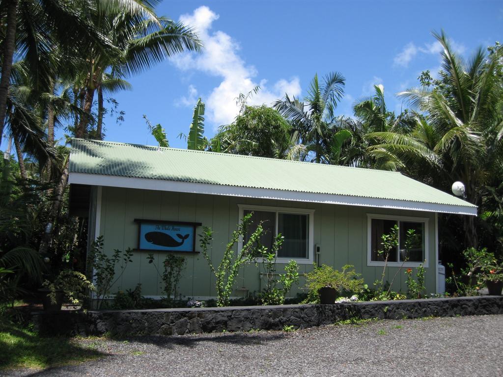 Whale House At Kehena Beach Pahoa Rum bild