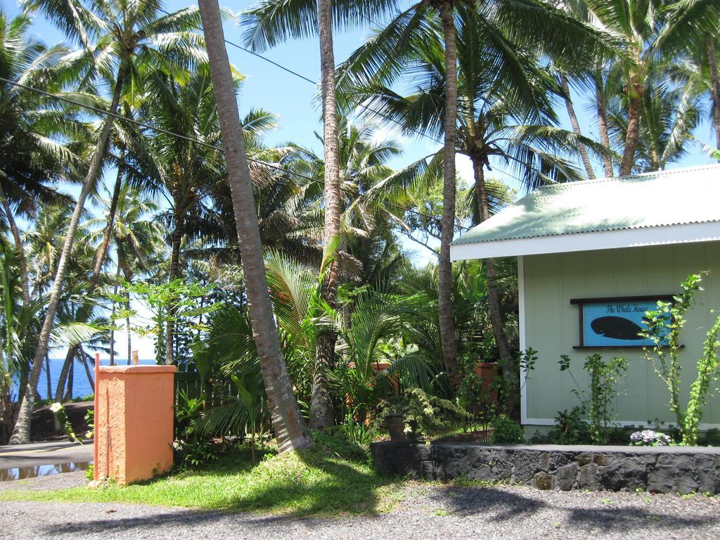 Whale House At Kehena Beach Pahoa Rum bild