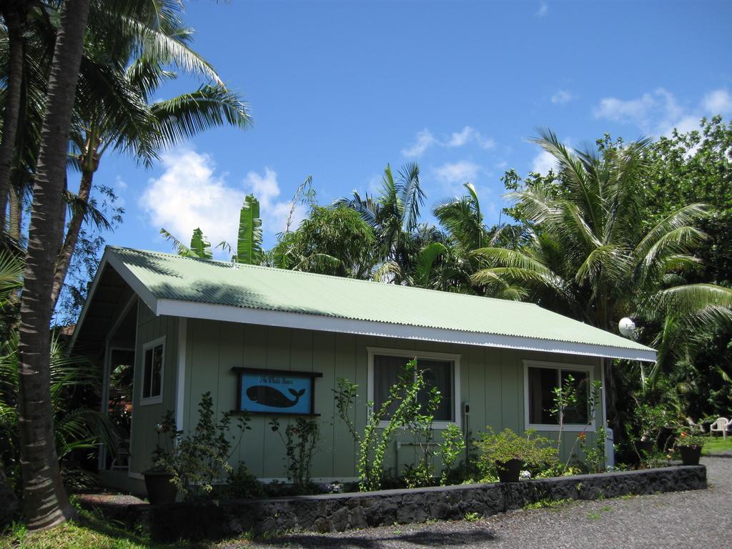 Whale House At Kehena Beach Pahoa Rum bild