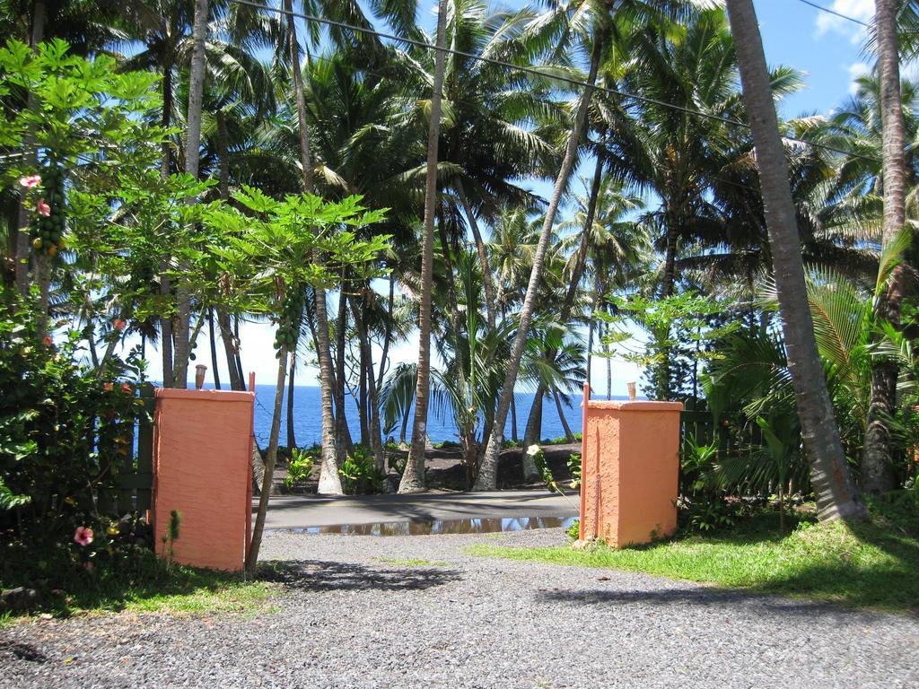 Whale House At Kehena Beach Pahoa Rum bild
