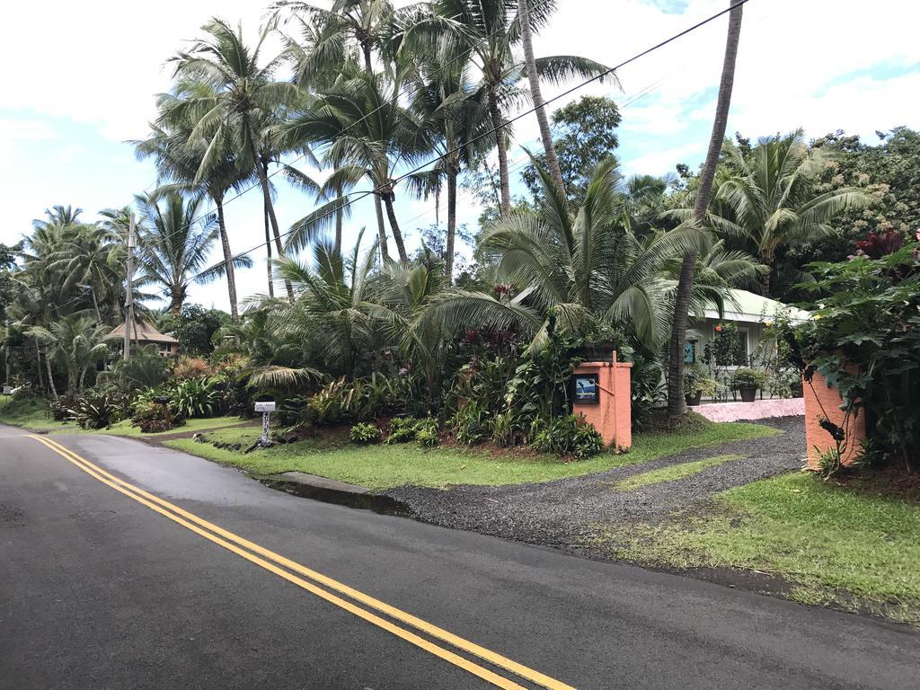 Whale House At Kehena Beach Pahoa Exteriör bild