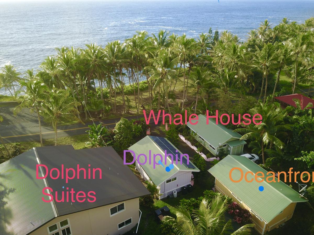 Whale House At Kehena Beach Pahoa Exteriör bild
