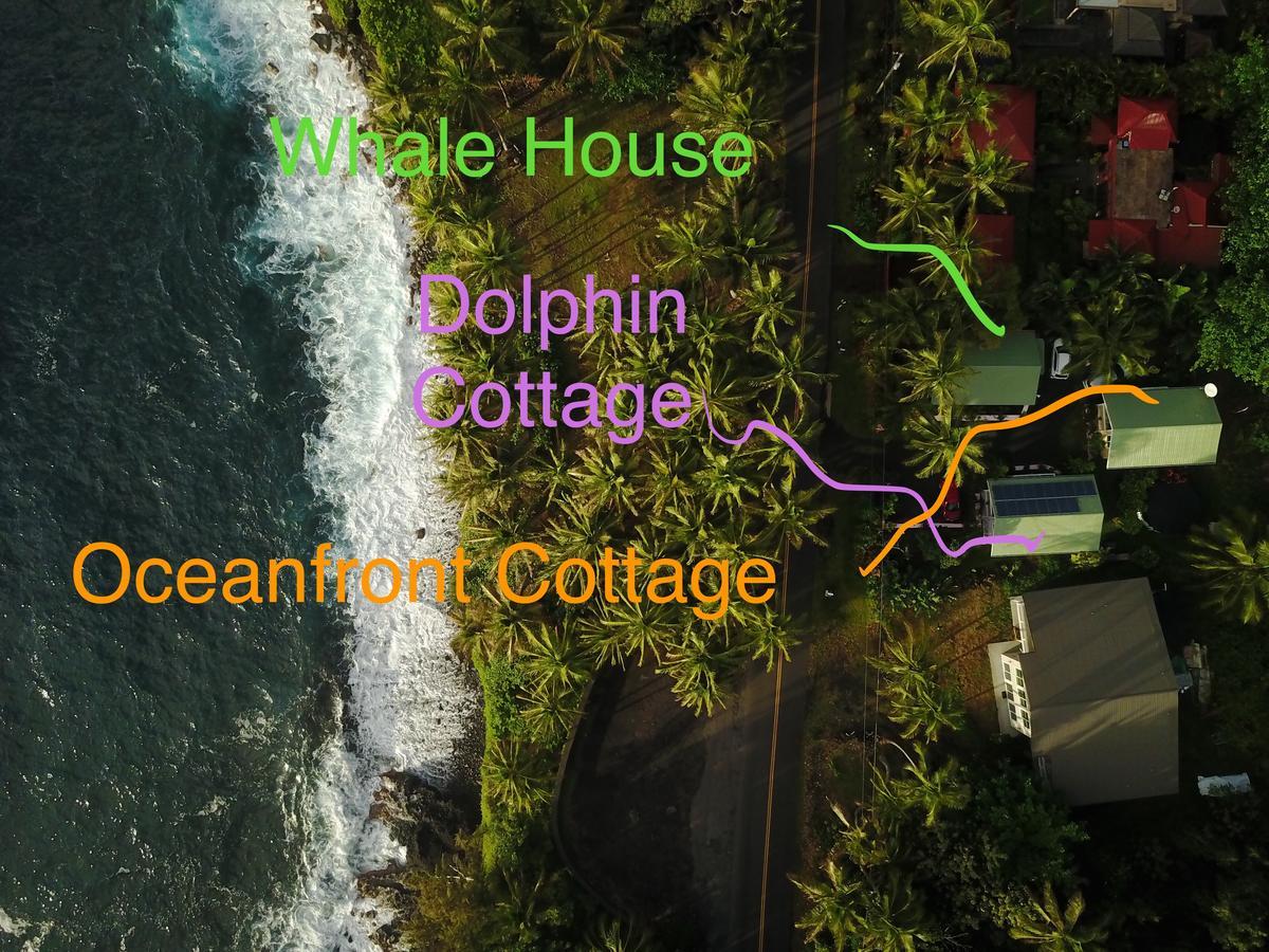 Whale House At Kehena Beach Pahoa Exteriör bild